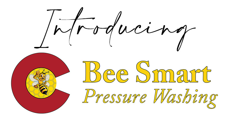 Introducing Bee Smart Pressure Washing