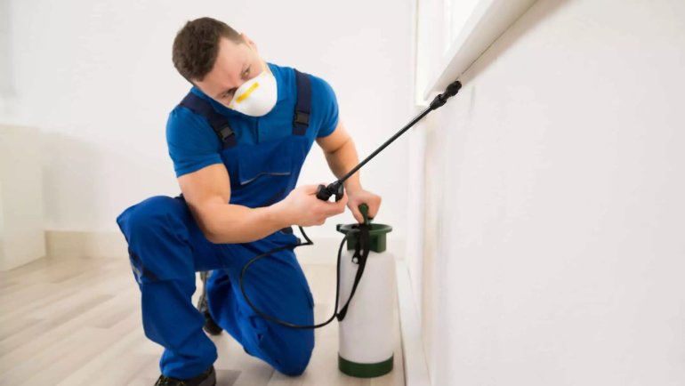 How Often Do I Need Pest Control in Brighton Colorado