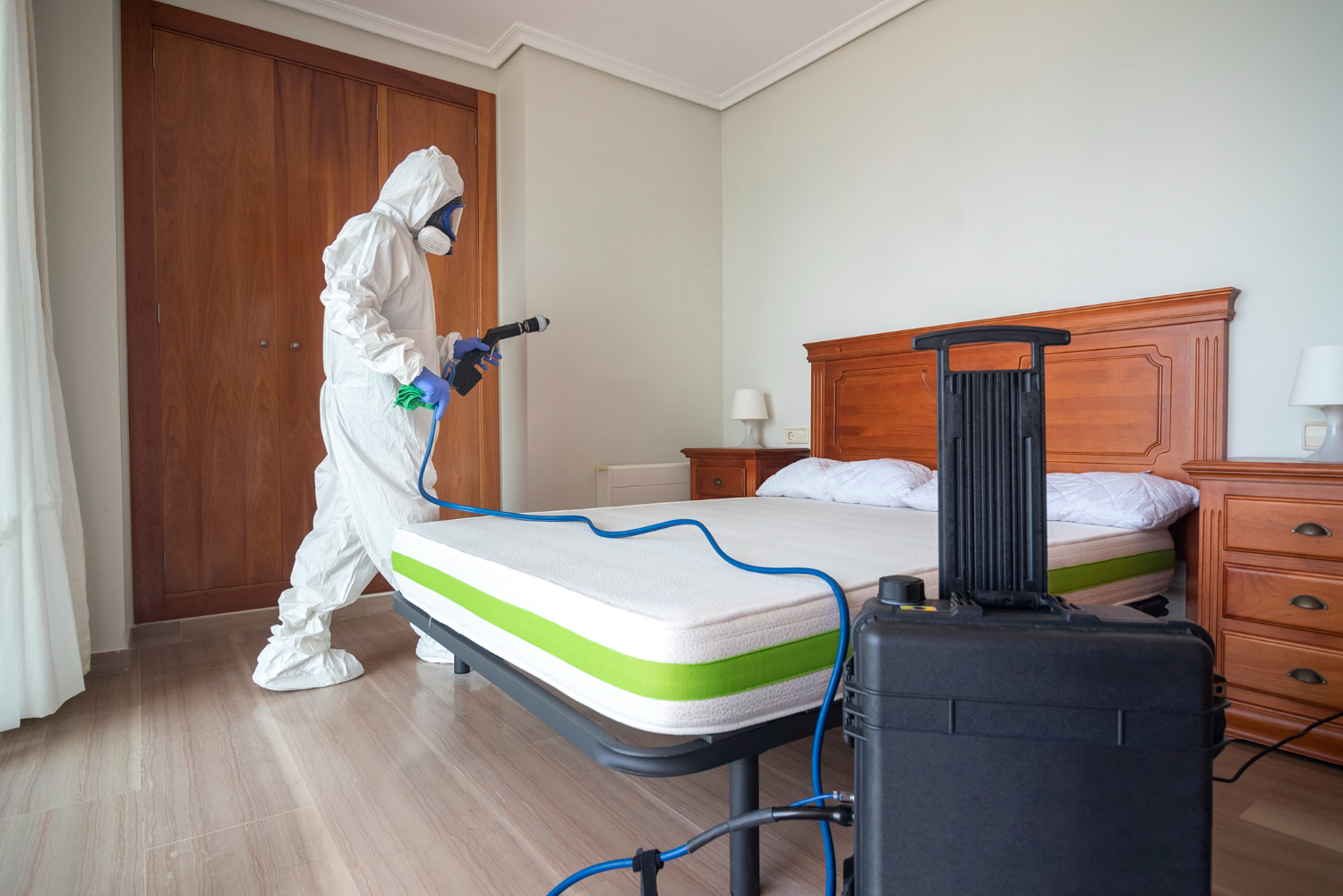 bed bug removal