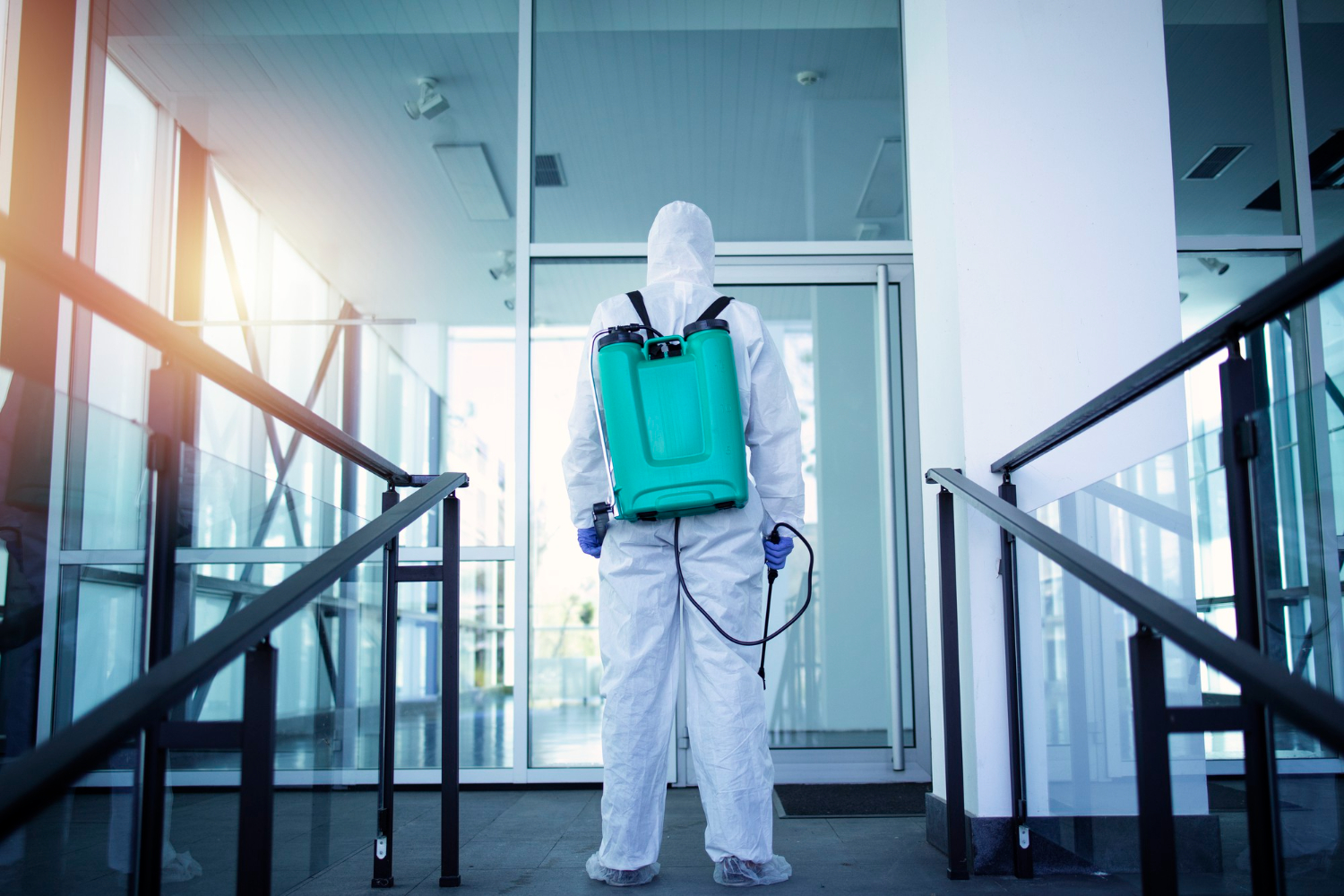 new build pest control