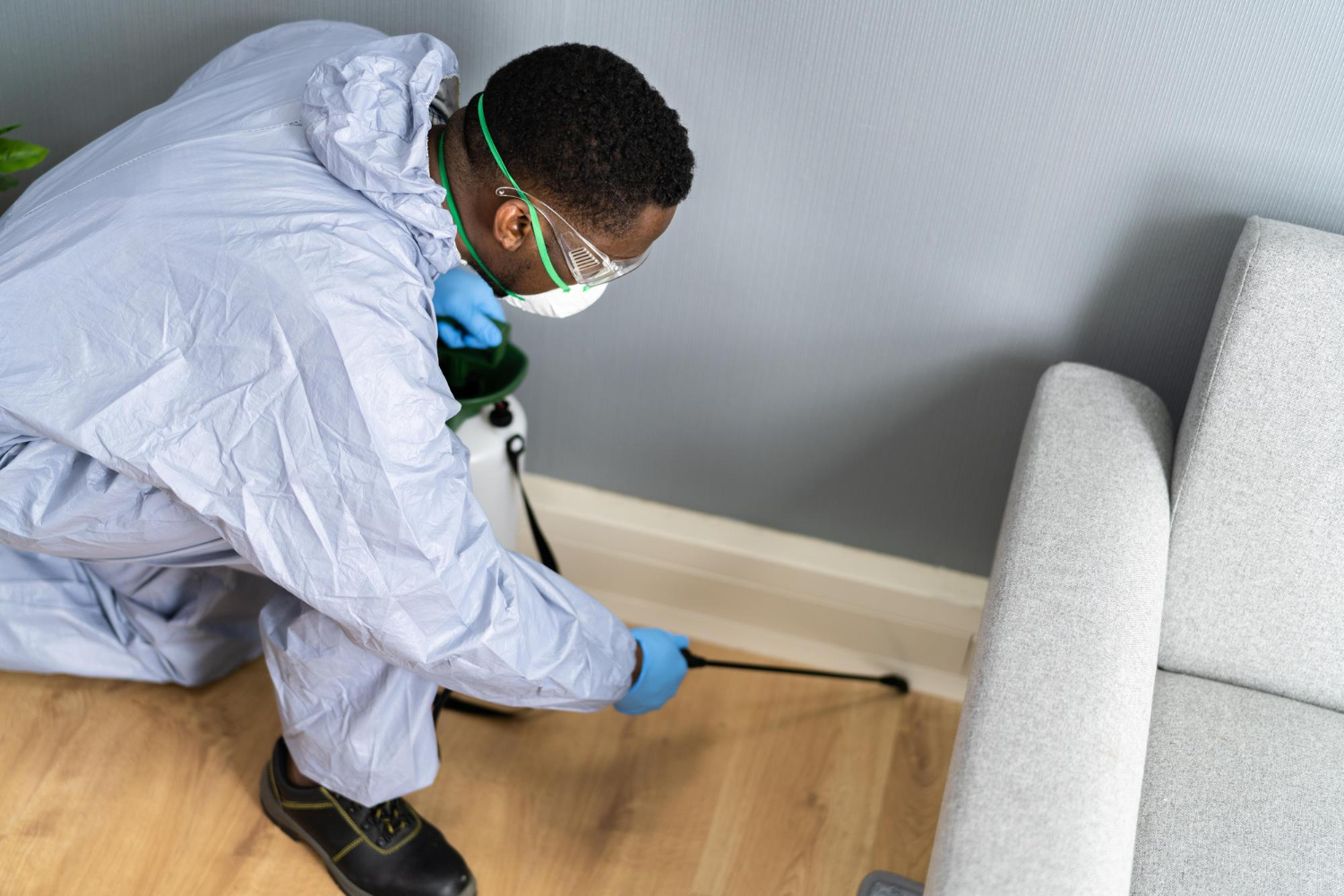pest monitoring