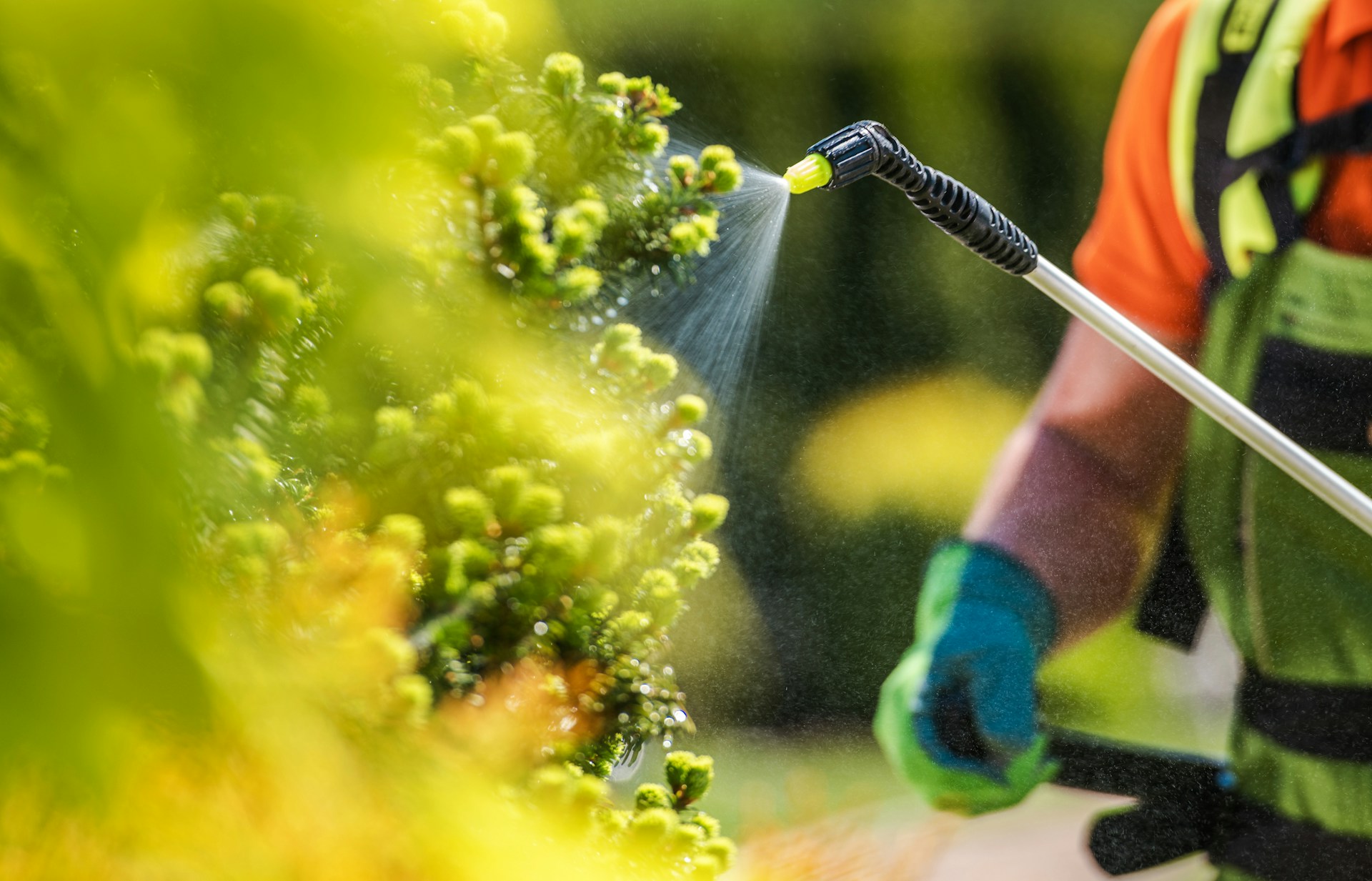 Mosquito Control